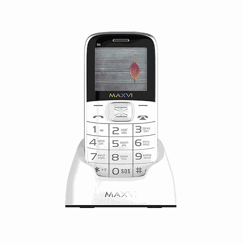 Мобильный телефон MAXVI B6 (white)