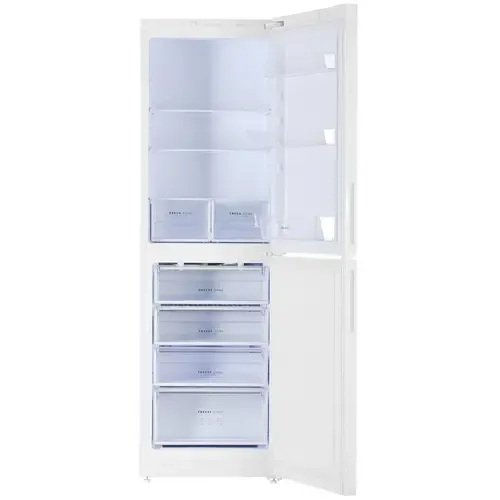 Холодильник БИРЮСА 6031
