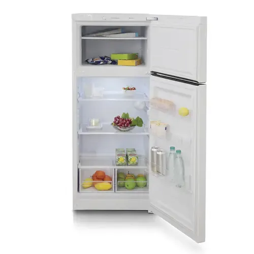 Холодильник БИРЮСА 6036