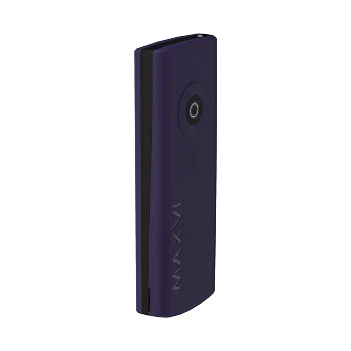 Мобильный телефон MAXVI C40 (Purple)